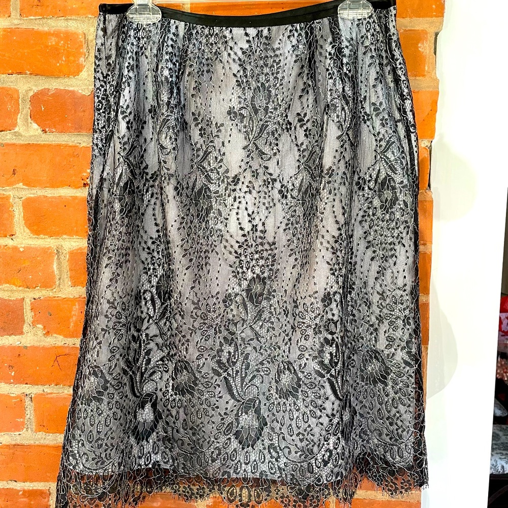Gorgeous Black Lace Skirt Overlay Silver Gray Lining Visible